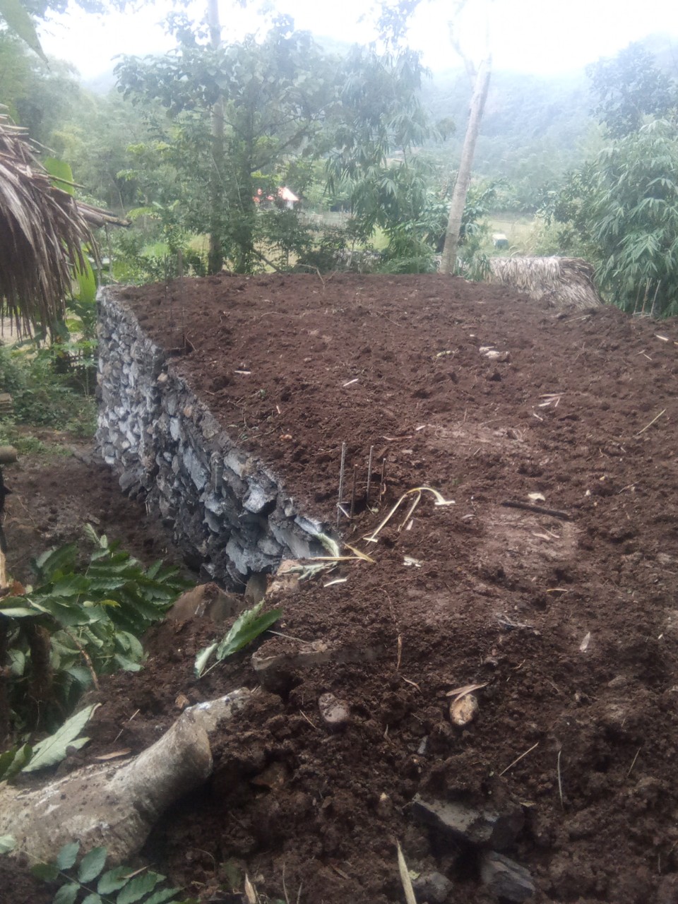 tổ chức sinh hoạt theo quy đinh hàng tháng