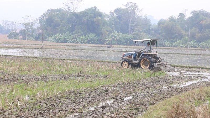 Quang Bình chuẩn bị cho sản xuất vụ Đông Xuân 2021 - 2022