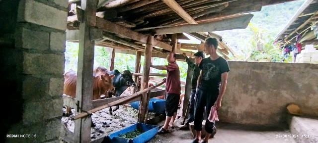 C:\Users\Windows10\Downloads\ảnh 1 Cp.jpg