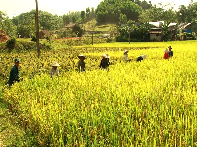 Hội nghị Giao ban tháng 7, triển khai nhiệm vụ tháng 8 năm 2020