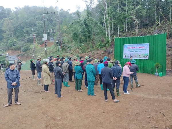 UBND XÃ ĐƯỜNG HỒNG TỔ CHỨC TẾT TRỒNG CÂY VÀ RA QUÂN SẢN XUẤT NÔNG LÂM NGHIỆP NĂM 2025