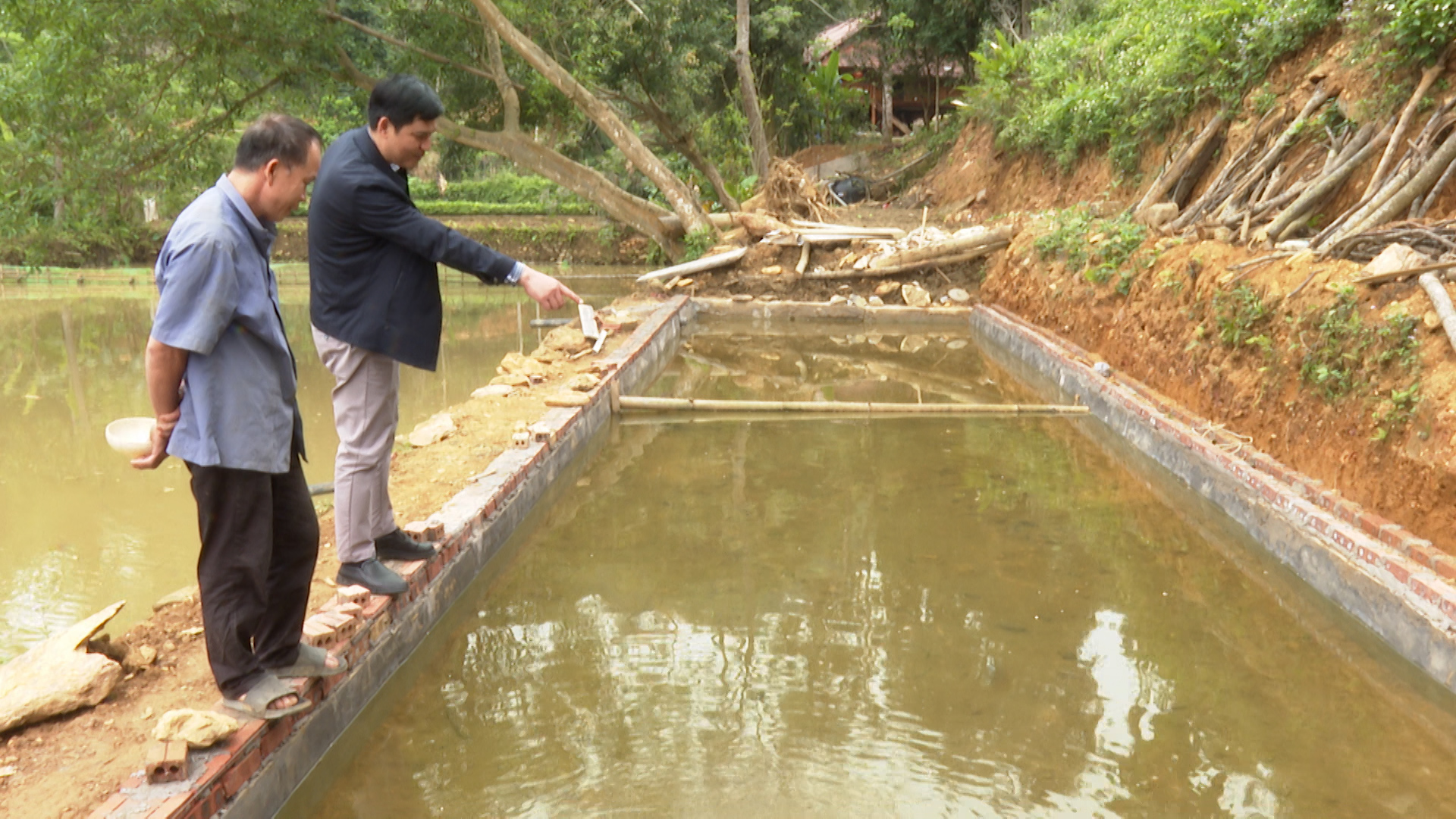 Đã có hộ gia đình nhân giống thành công cá Bỗng xanh