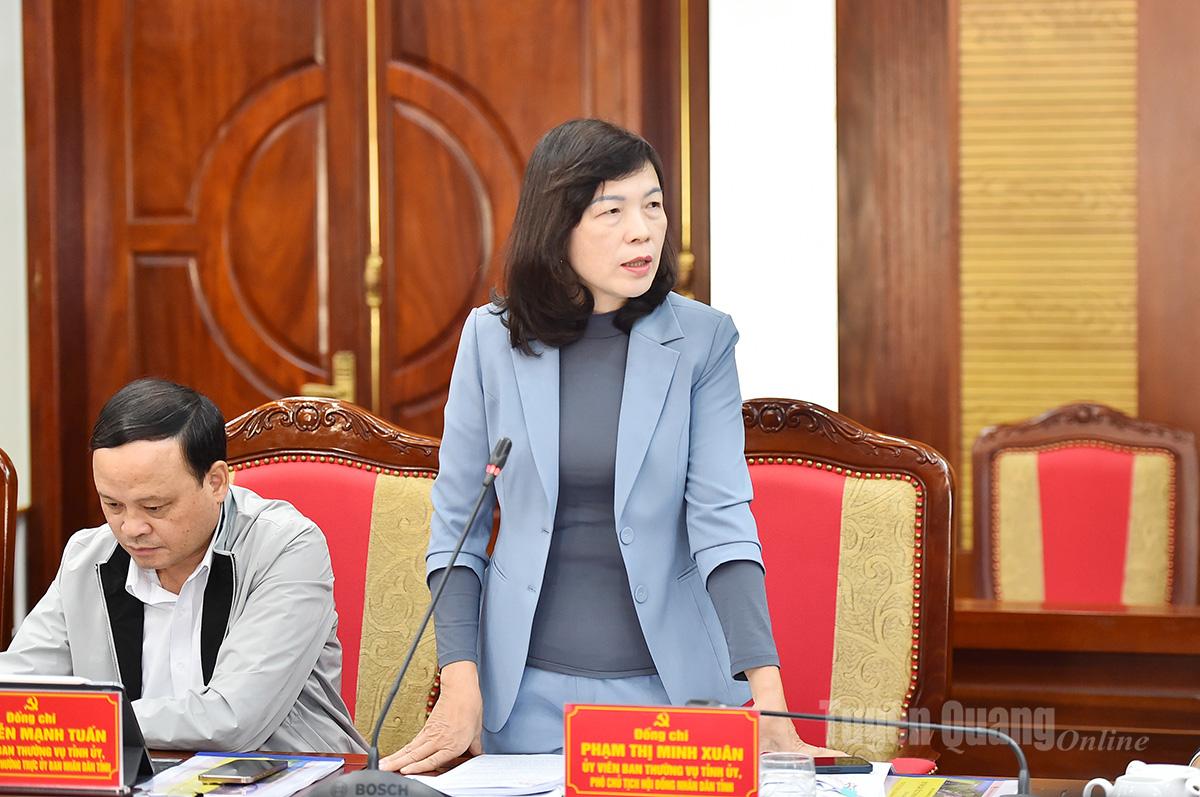 Đồng chí Phó Chủ tịch HĐND tỉnh Phạm Thị Minh Xuân phát biểu tại hội nghị.