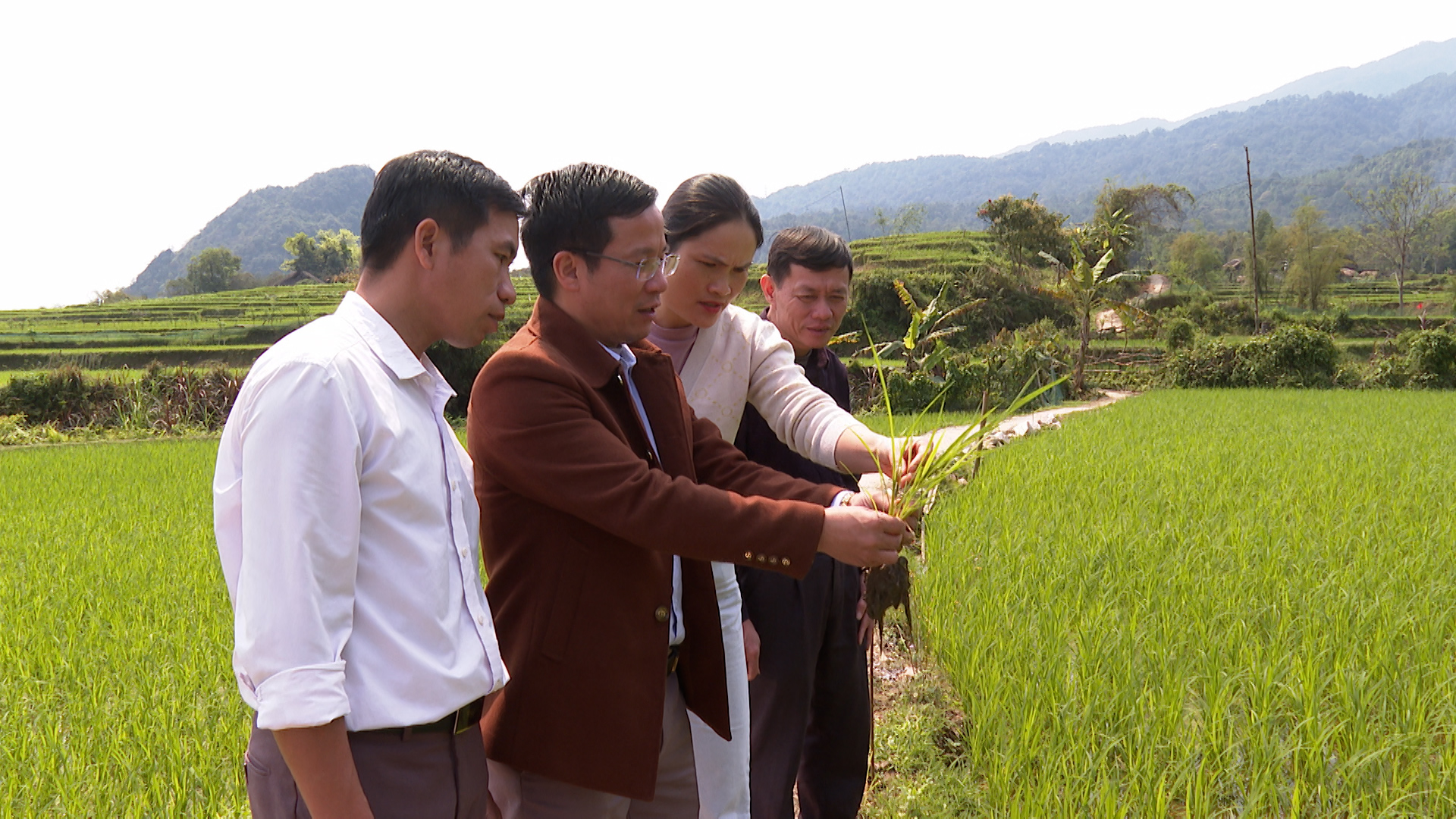 Lãnh đạo xã Phương Độ kiểm tra lúa Xuân tại thôn Hạ Thành