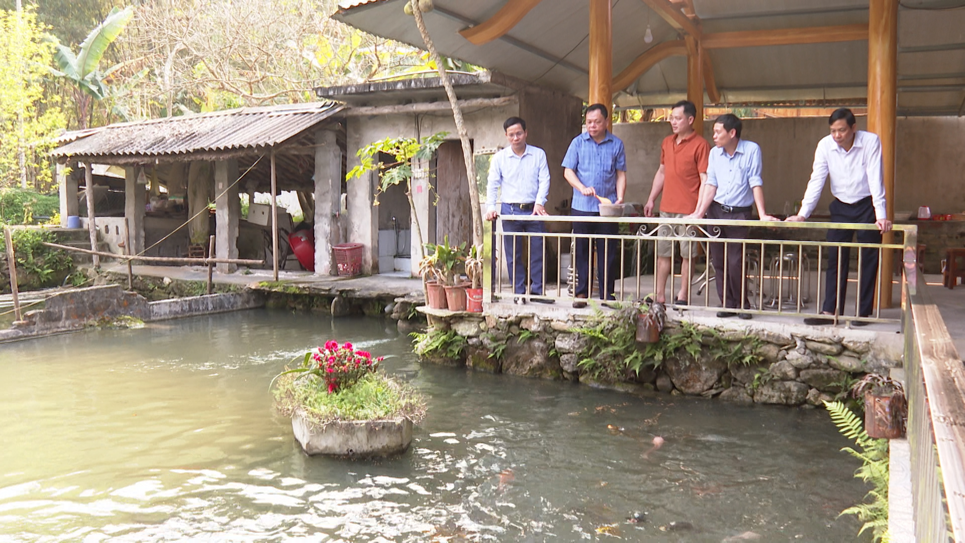 Phó Chủ tịch UBND kiểm tra mô hình nuôi cá thương phẩm