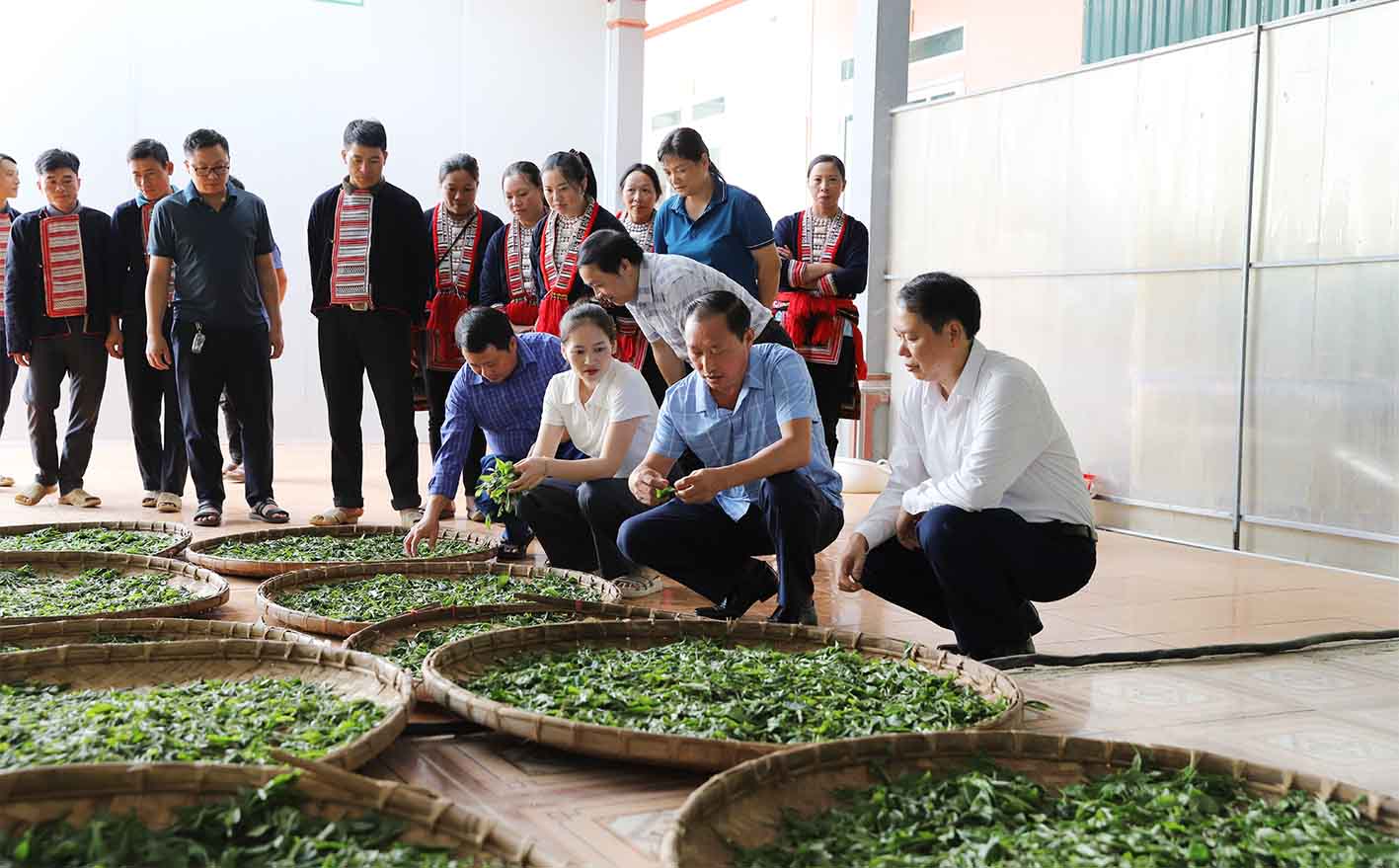 Hoàng Su Phì: Bí thư Huyện ủy thăm và làm việc với HTX chế biến chè Phìn Hồ