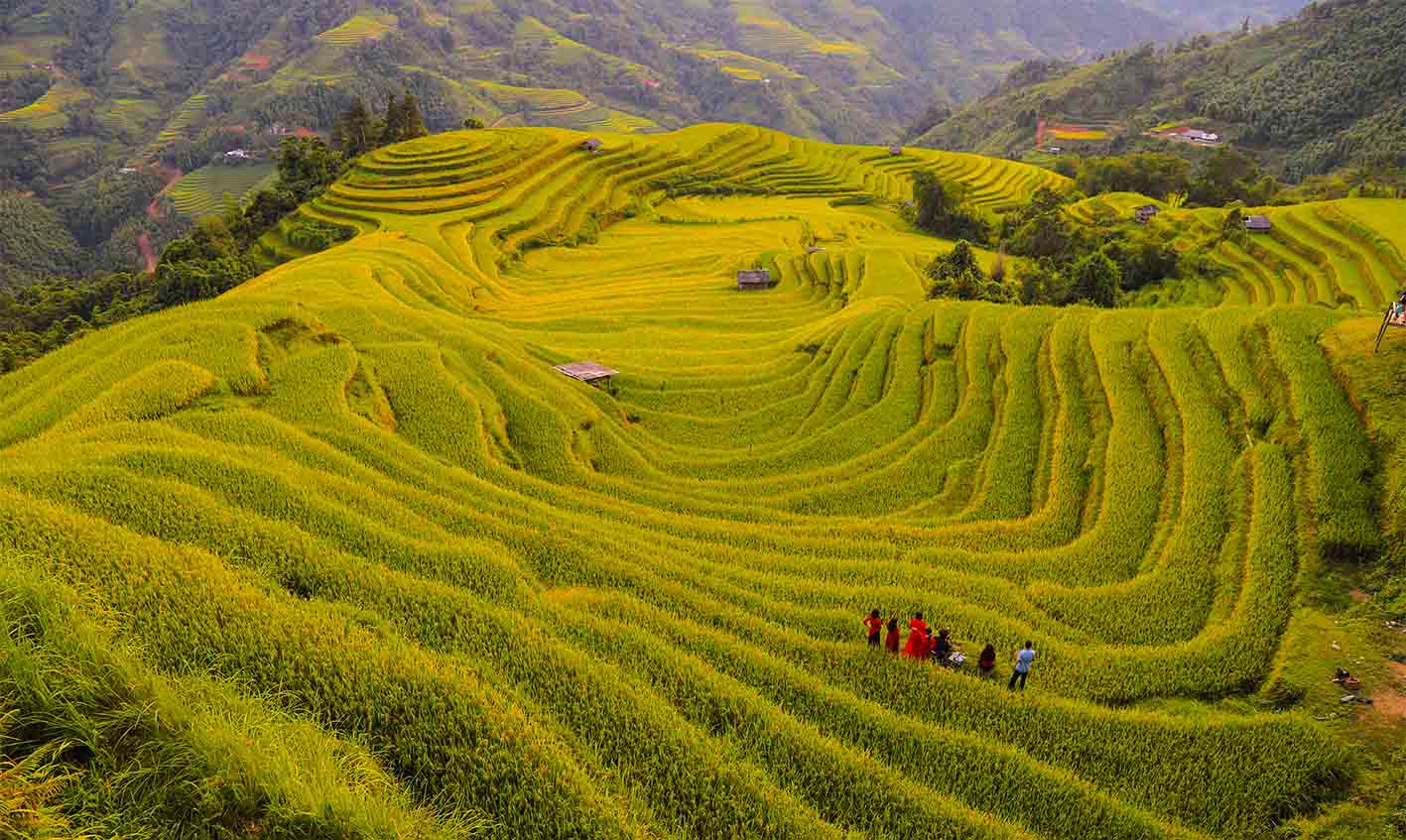 TRẢI NGHIỆM MÙA VÀNG Ở HOÀNG SU PHÌ