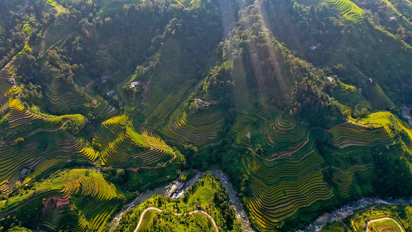 Mùa vàng rực rỡ, 42 nghìn khách du lịch đến với Hoàng Su Phì