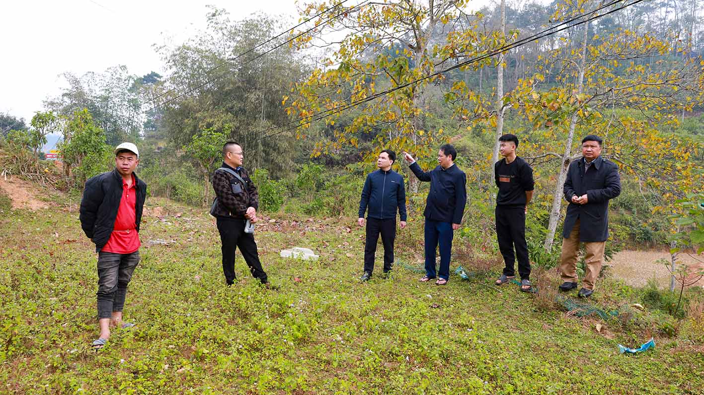 Lãnh đạo xã Hồ Thầu, khảo sát khu vực trồng hoa nhài