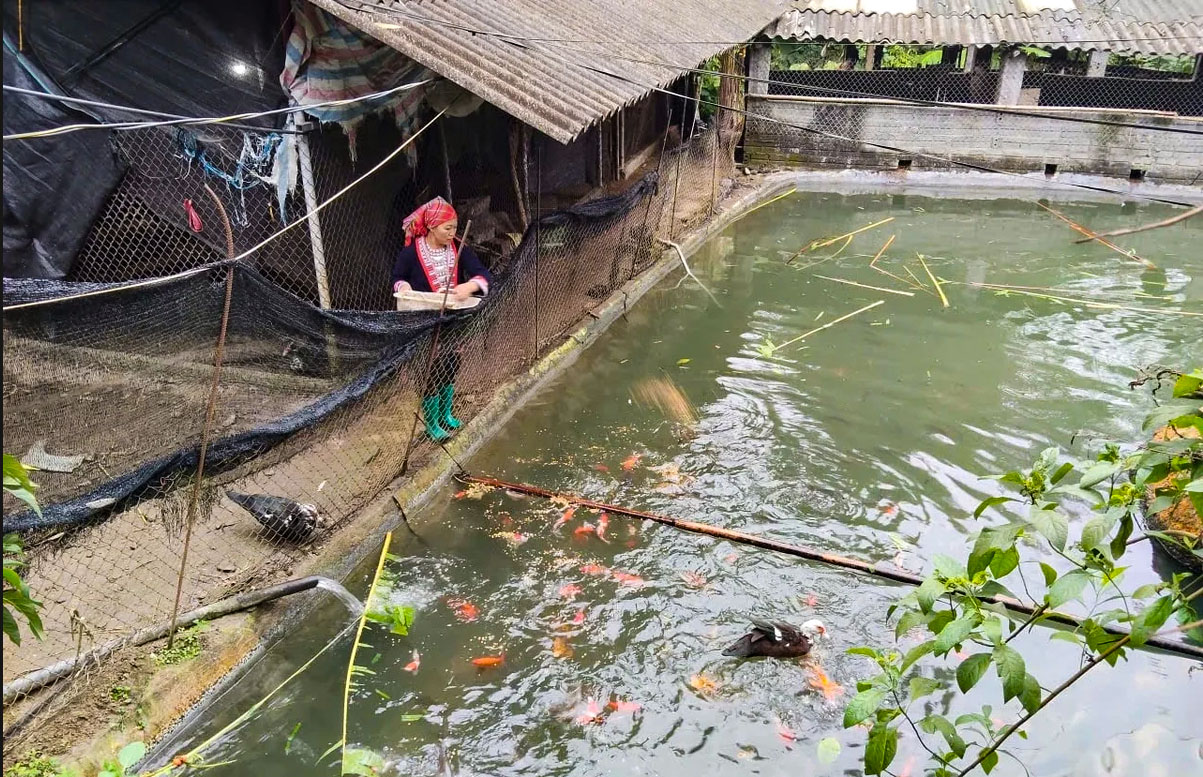 Chị Khé, người phụ nữ giám nghĩ, giám làm