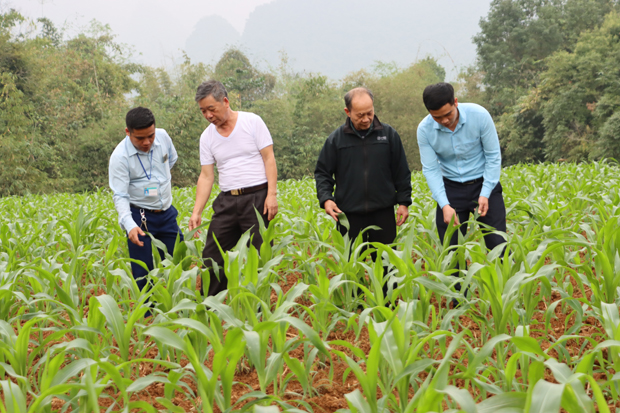 Học Bác tinh thần phục vụ nhân dân