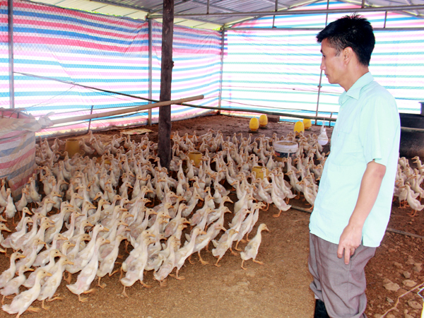 Khi cán bộ, đảng viên nêu gương làm kinh tế