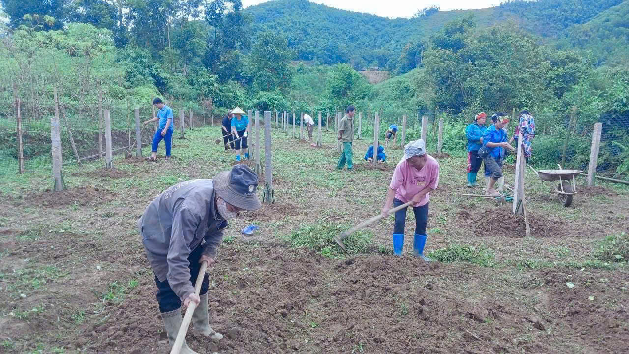  Cán bộ, hội viên các đoàn thể và nhân dân trong thôn cùng nhau trồng thanh long tại thôn Lăng Mu