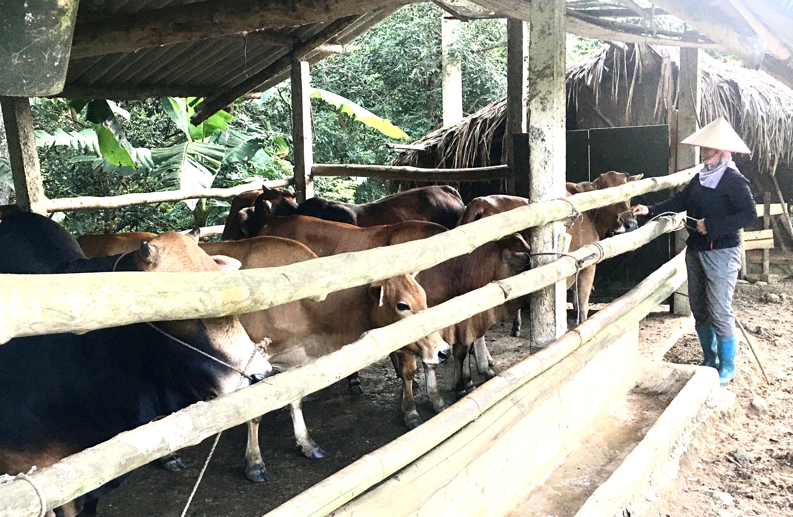 Tấm gương Phụ nữ đảm đang làm kinh tế giỏi