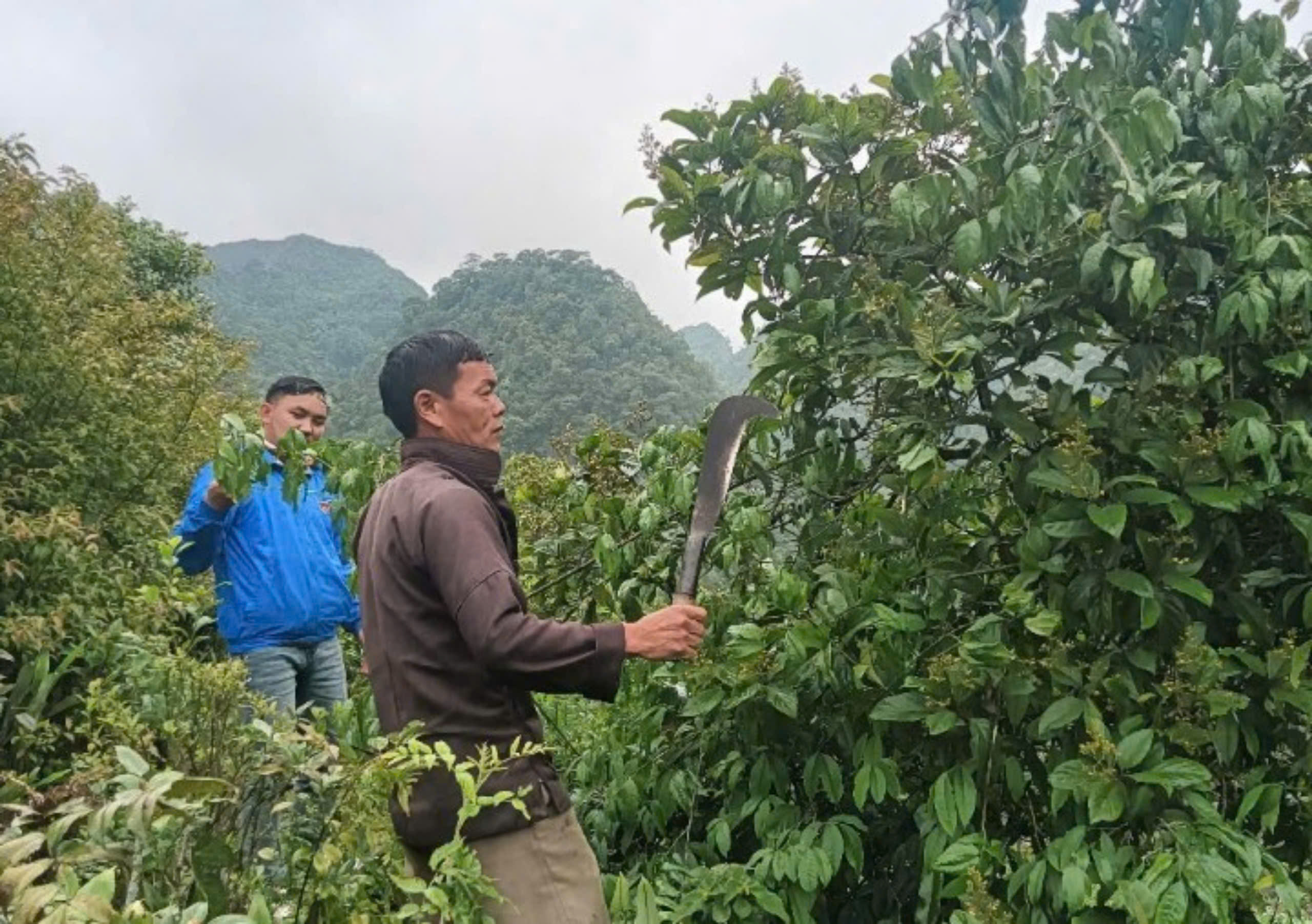 XÃ LŨNG PHÌN TĂNG CƯỜNG TUYÊN TRUYỀN ĐỢT CAO ĐIỂM VỀ PHÒNG, CHỐNG NGỘ ĐỘC QUẢ RỪNG