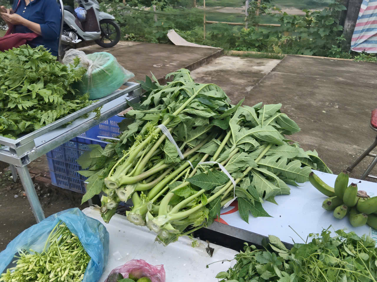 Chợ đ&ecirc;m rau dd.jpg