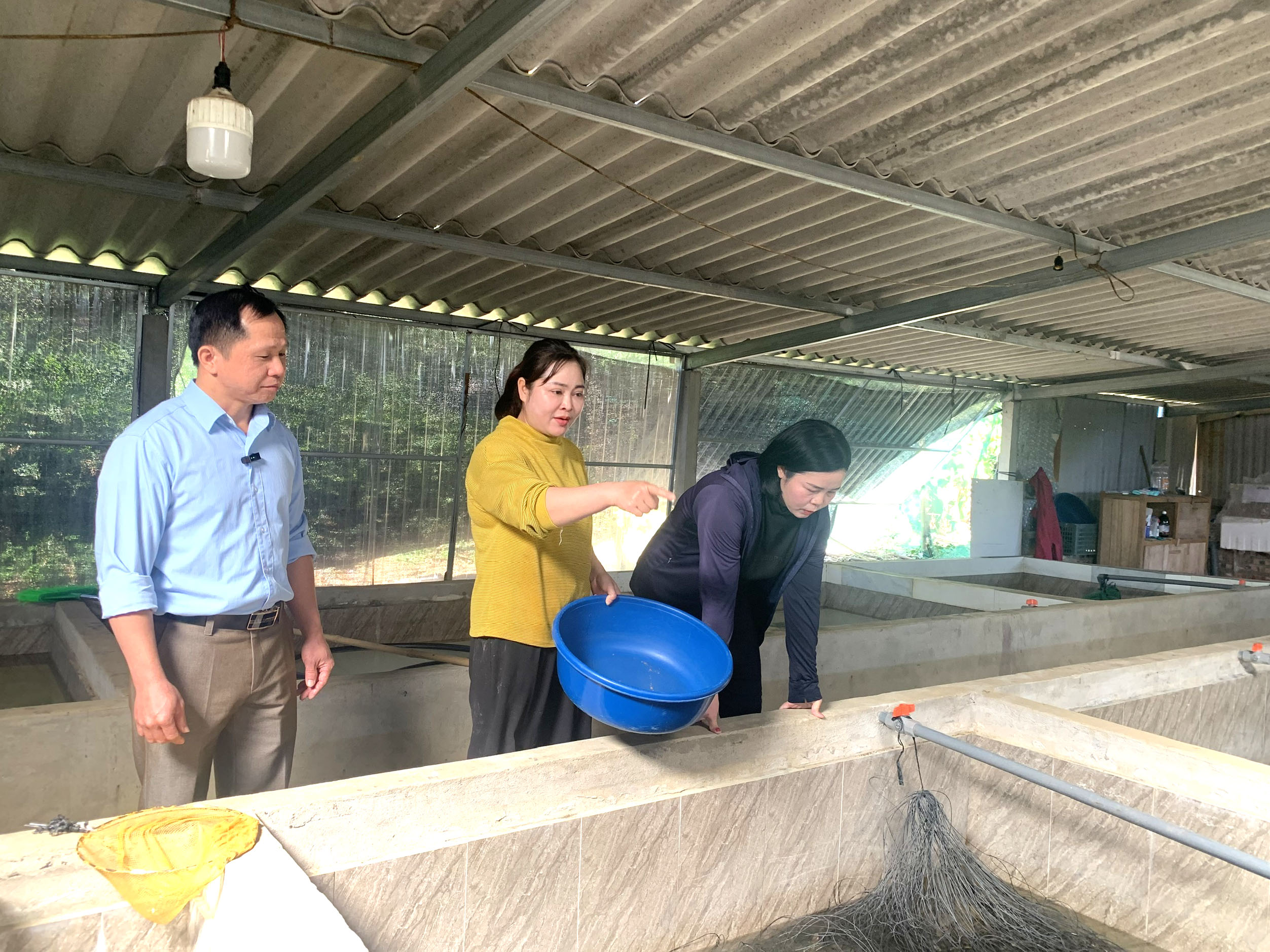 8245a99d6c01361b10b8a55452368fc4