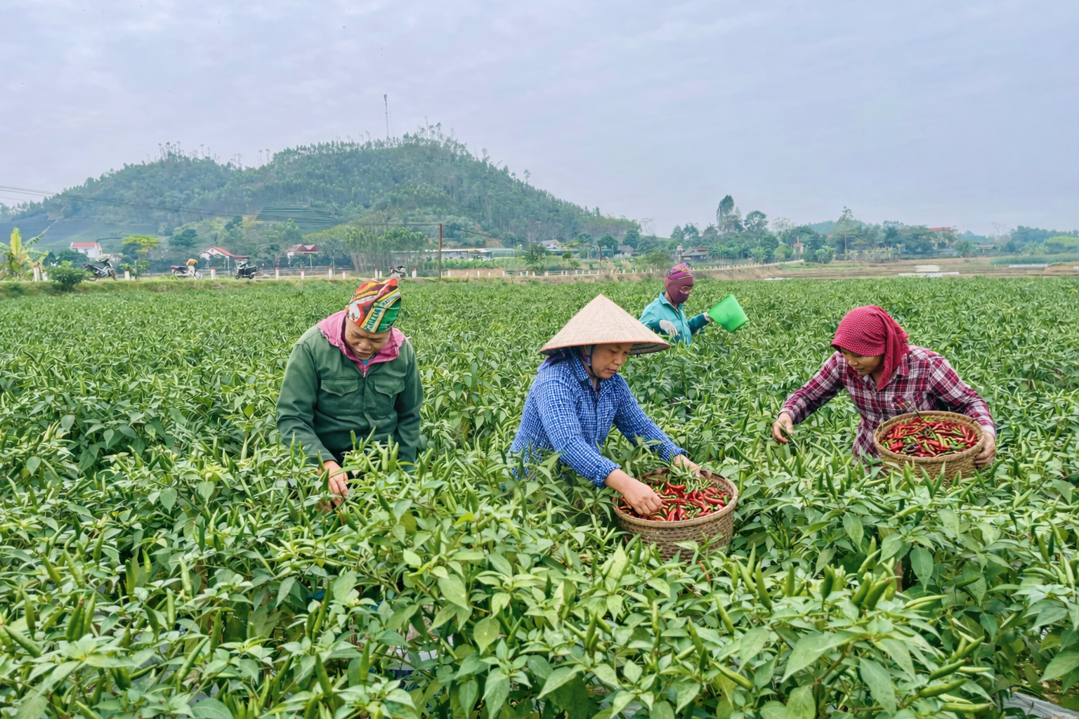Chủ động phát triển sản xuất, thi đua lập thành tích hướng tới ngày bầu cử.
