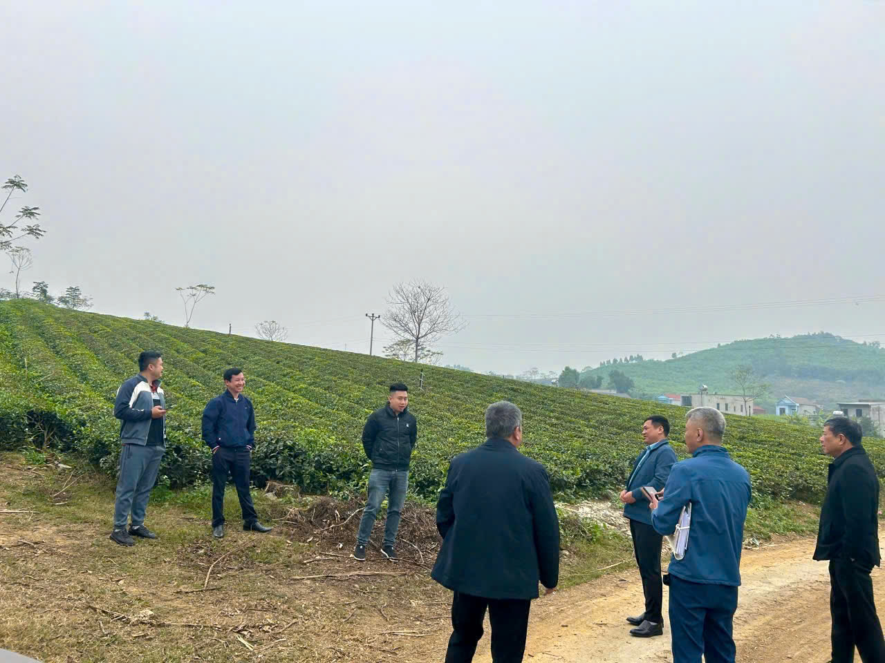 KIỂM TRA THỰC TẾ DỰ ÁN ỨNG DỤNG CÔNG NGHỆ TƯỚI CHÈ TẠI XÃ NHỮ KHÊ