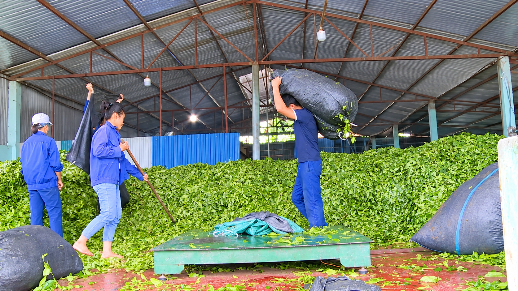 Mỹ Lâm quyết tâm thực hiện hiệu quả mục tiêu giảm nghèo bền vững