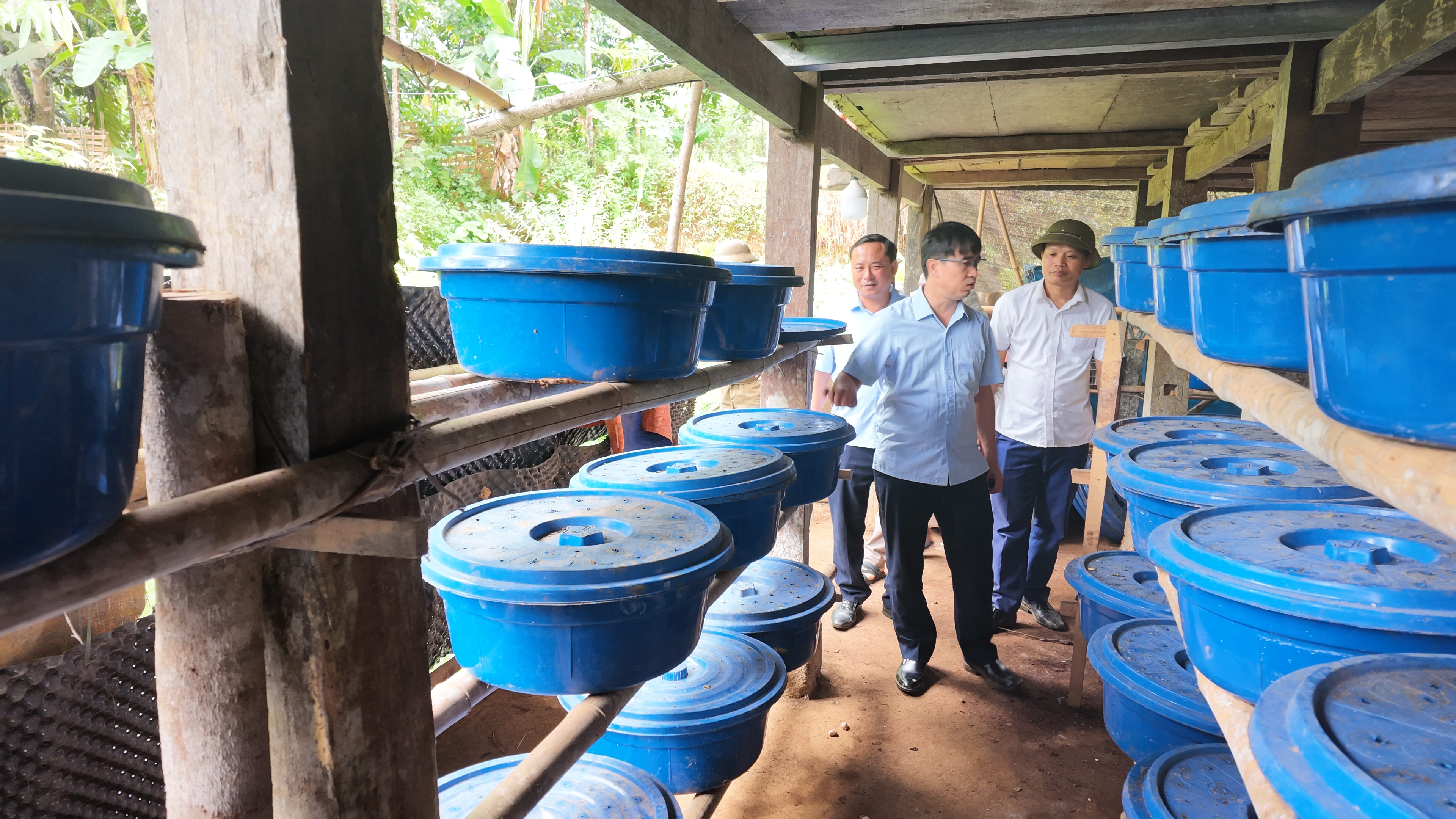 Đu&ocirc;ng cọ 3.JPG