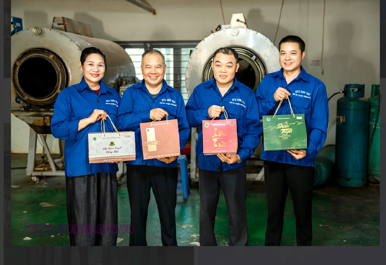 Chè Shan tuyết Hồng Thái đạt chuẩn OCOP 5 sao cấp quốc gia, khẳng định thương hiệu vùng cao