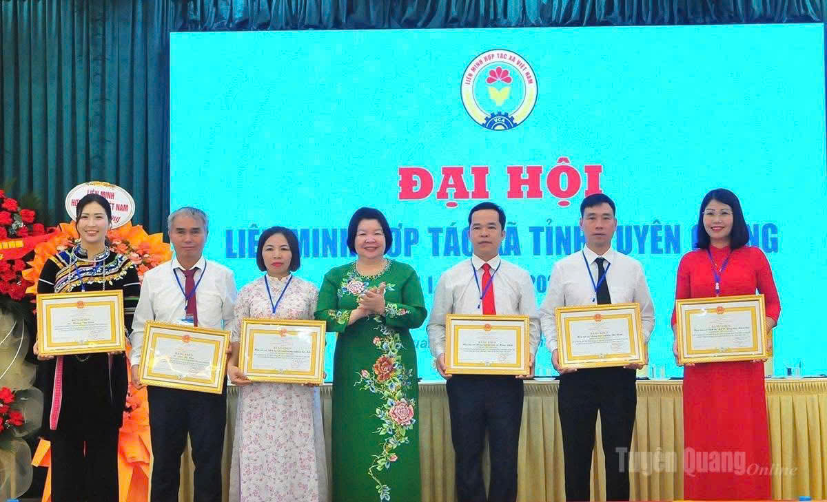 Hợp tác xã Nông lâm nghiệp Thổ Bình vinh dự được tặng Bằng khen của Liên minh Hợp tác xã Việt Nam