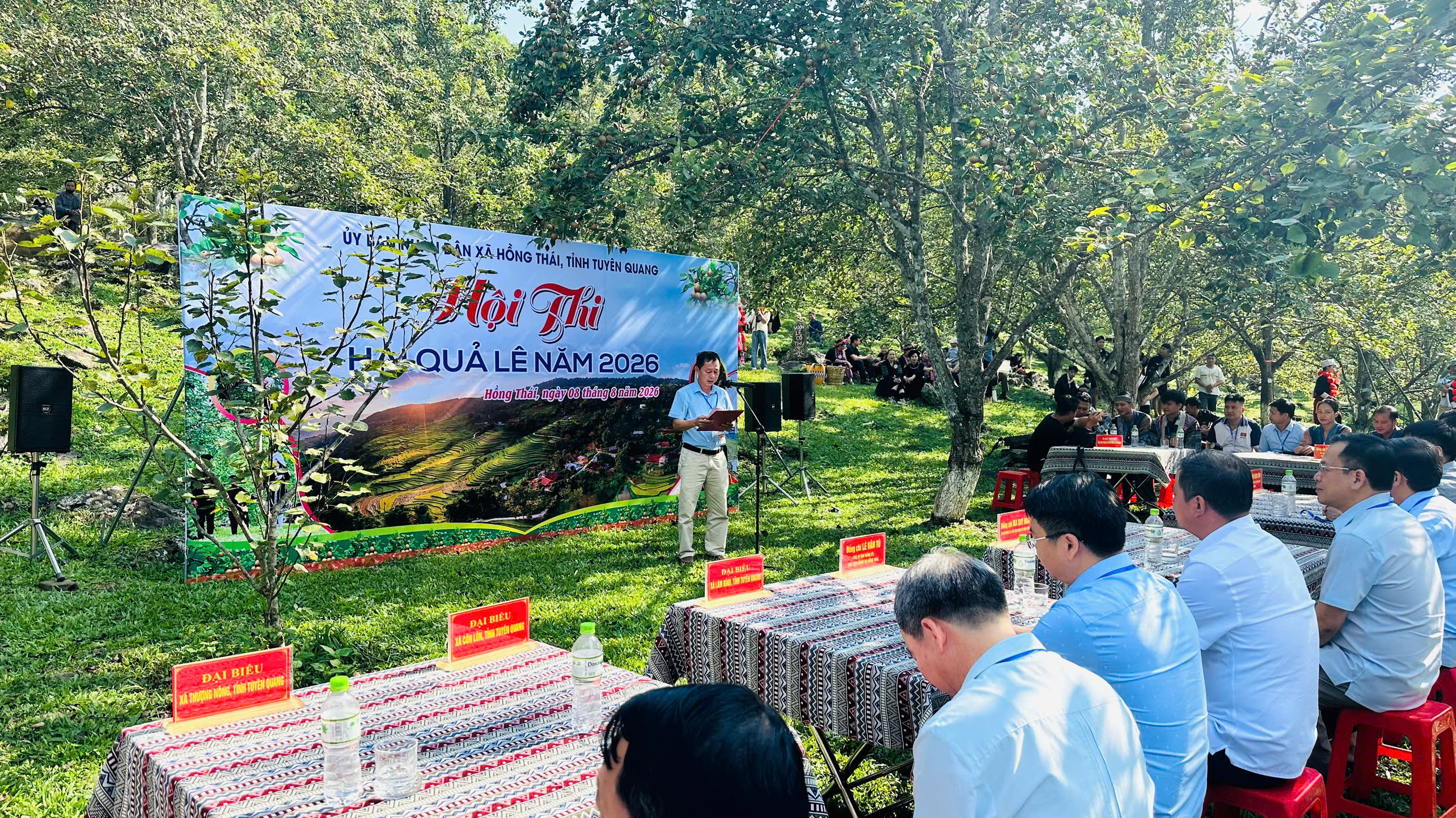 Sôi nổi Hội thi hái quả lê và bán lê trên nền tảng số