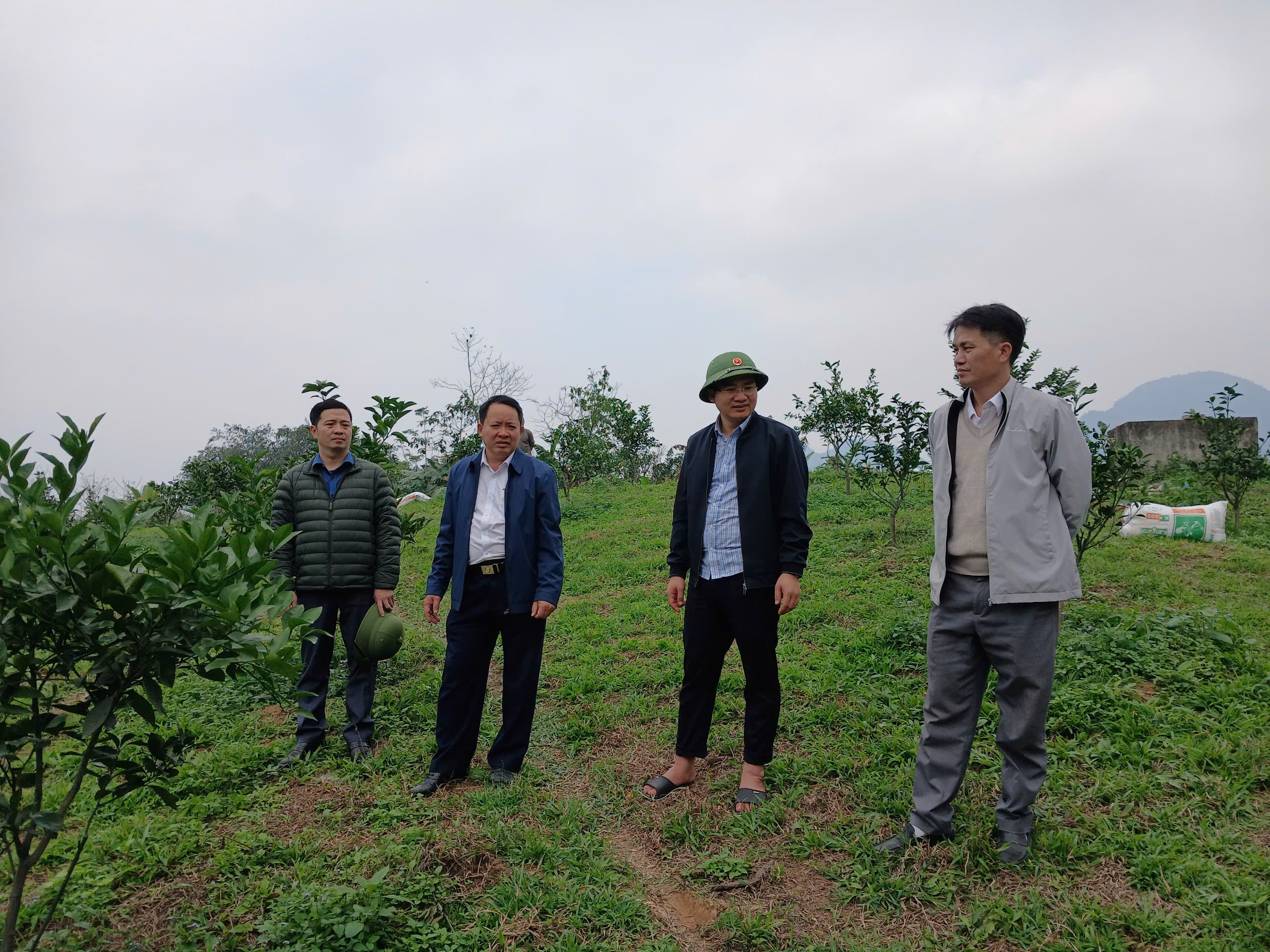 Lãnh đạo Đảng ủy, UBND, UBMTTQ xã Tiên Yên kiểm Mô Hình trồng cây Cam đường điện 04 trên địa bàn xã Tiên Yên.