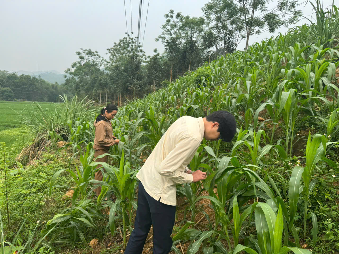 Ktra l&uacute;a,6.jpg