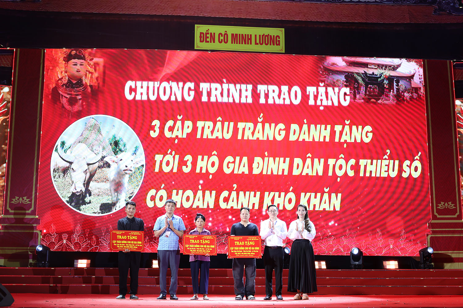 lh-minh-luong6.jpg