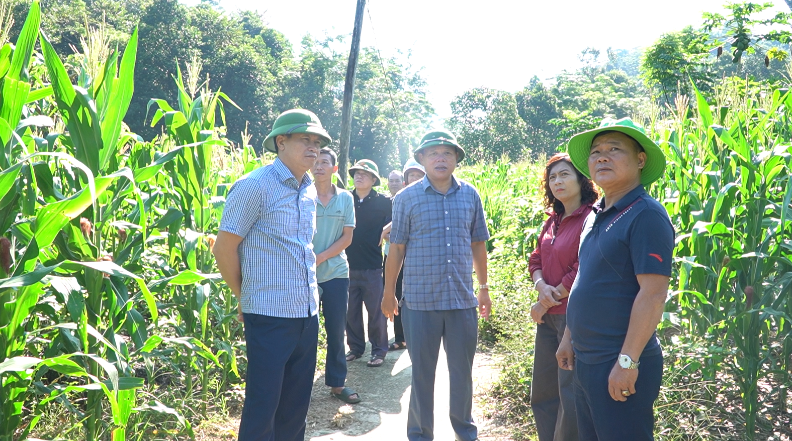 Phường Hà Giang khảo sát địa điểm phát triển mô hình kinh tế nông nghiệp tại khu vực Gia Vài, tổ 10 (thôn Châng)