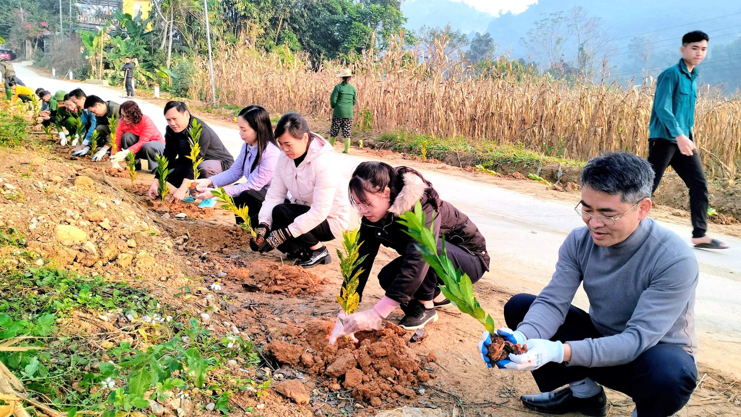 Xã Yên Nguyên hưởng ứng Ngày Cây xanh Việt Nam năm 2026