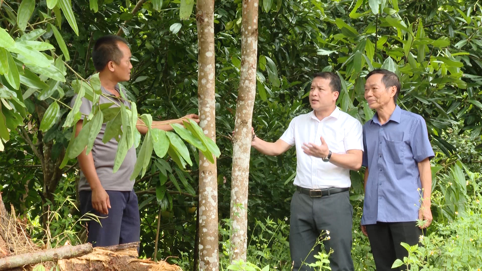 Đồng Tâm chuyển mình trên hành trình giảm nghèo bền vững