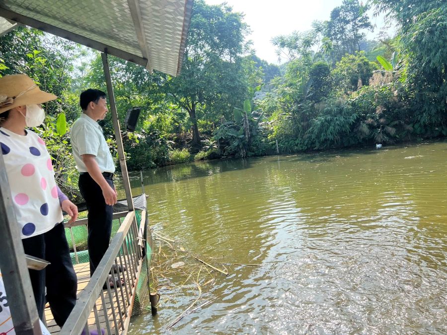 Hội viên Nông dân tiêu biểu trong phát triển kinh tế