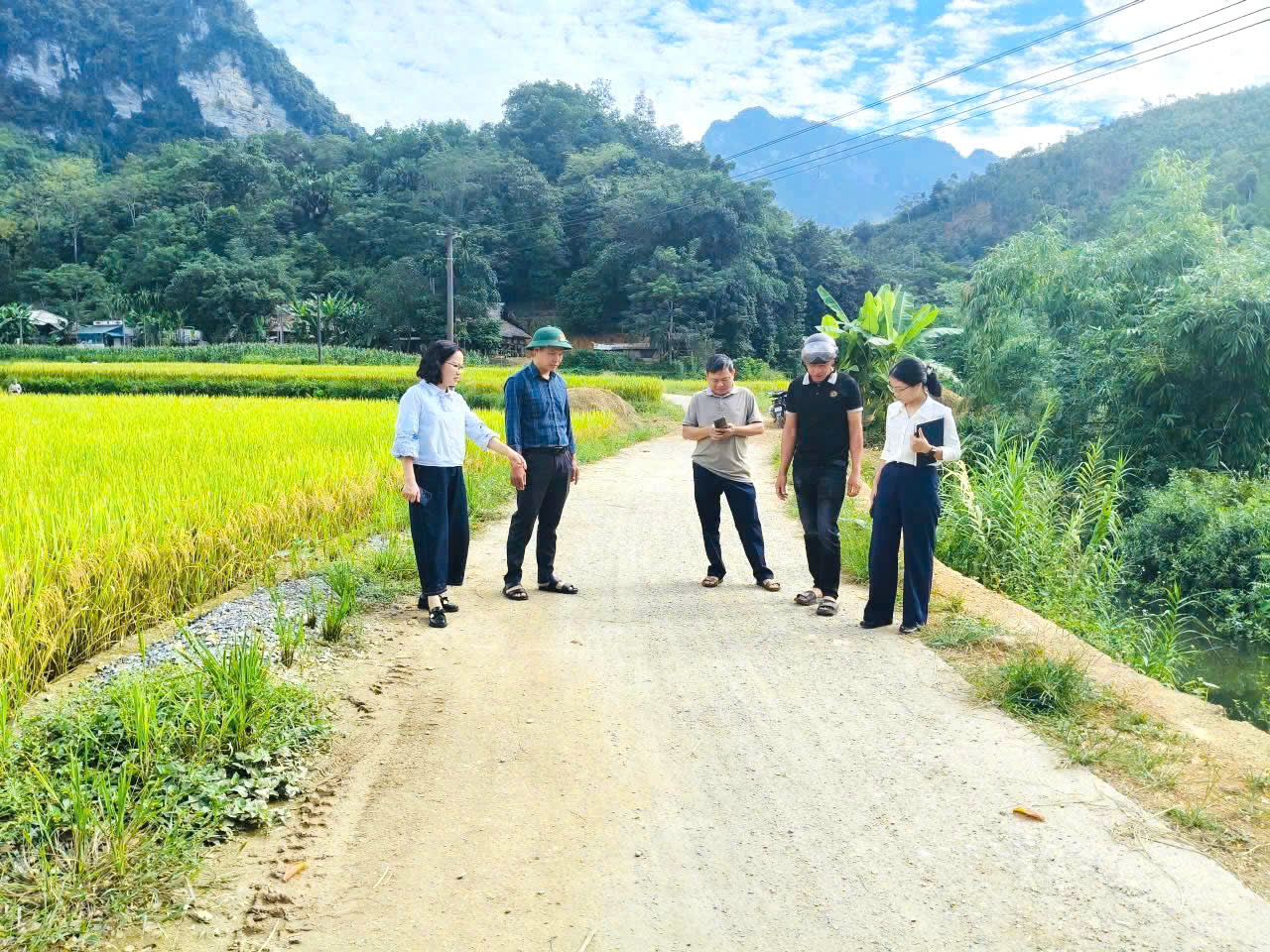       Thực hiện Kế hoạch giám sát chuyên đề về việc triển khai Nghị quyết số 25/NQ-HĐND ngày 14/11/2025 của HĐND xã Phú Linh về thực hiện các Chương trình mục tiêu quốc gia trên địa bàn xã năm 2025, trong 02 ngày 06 –07/10/2026, Đoàn giám sát của HĐND xã Phú Linh đã tổ chức khảo sát thực tế tại một số thôn trên địa bàn.