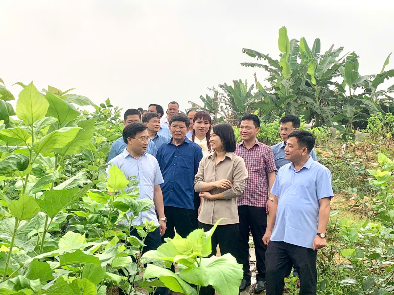 Sở Nông nghiệp và Môi trường khảo sát, trao đổi phương án phát triển vùng trồng dâu và nuôi tằm trên địa bàn tỉnh Tuyên Quang