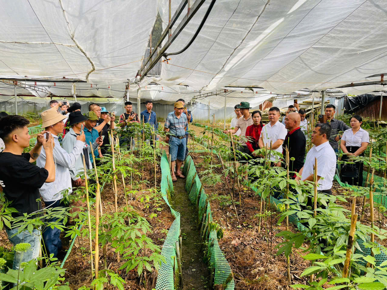 ĐOÀN CÁN BỘ UBMTTQ XÃ THƯỢNG SƠN HỌC TẬP KINH NGHIỆM PHÁT TRIỂN CÂY DƯỢC LIỆU TẠI LÀO CAI VÀ LAI CHÂU