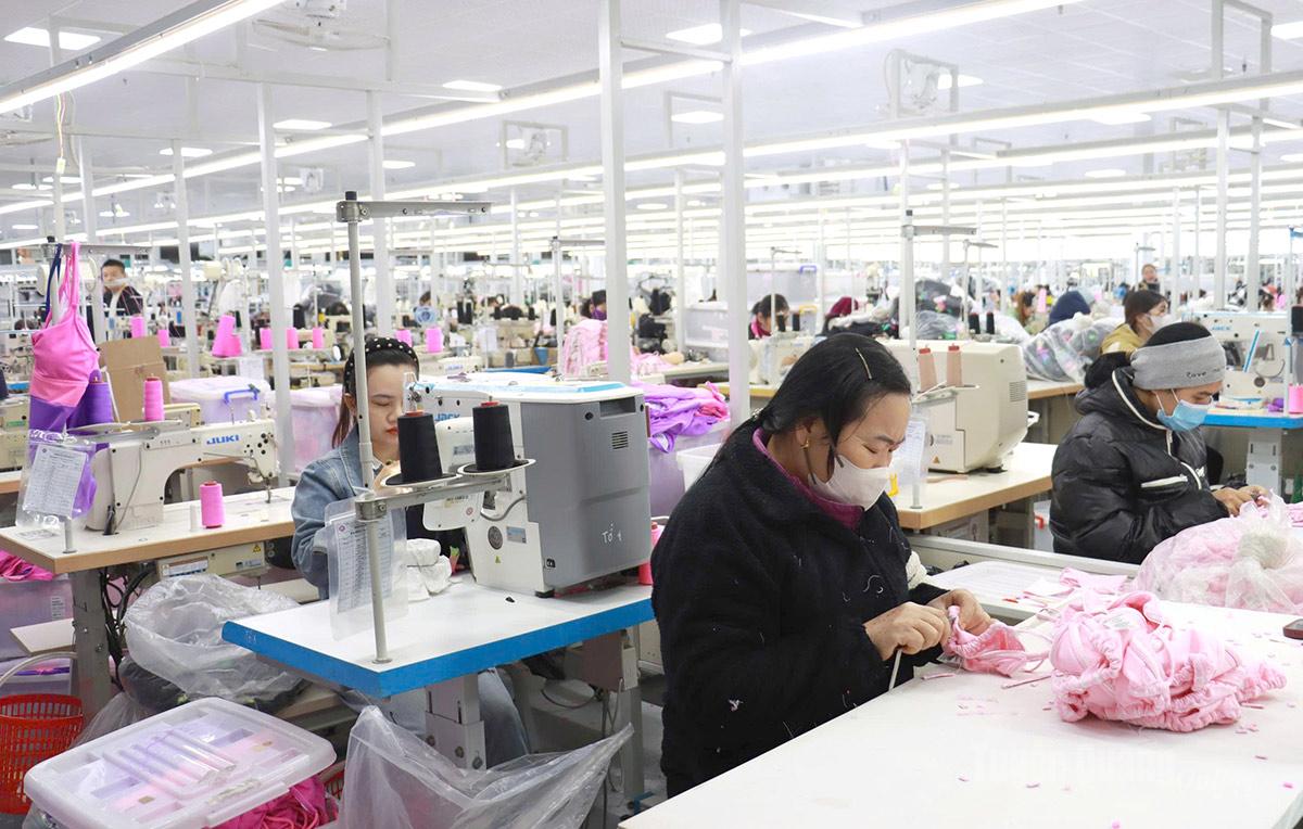 Tuyen Quang Industry: Breaking Through to Affirm Its Pillar Role