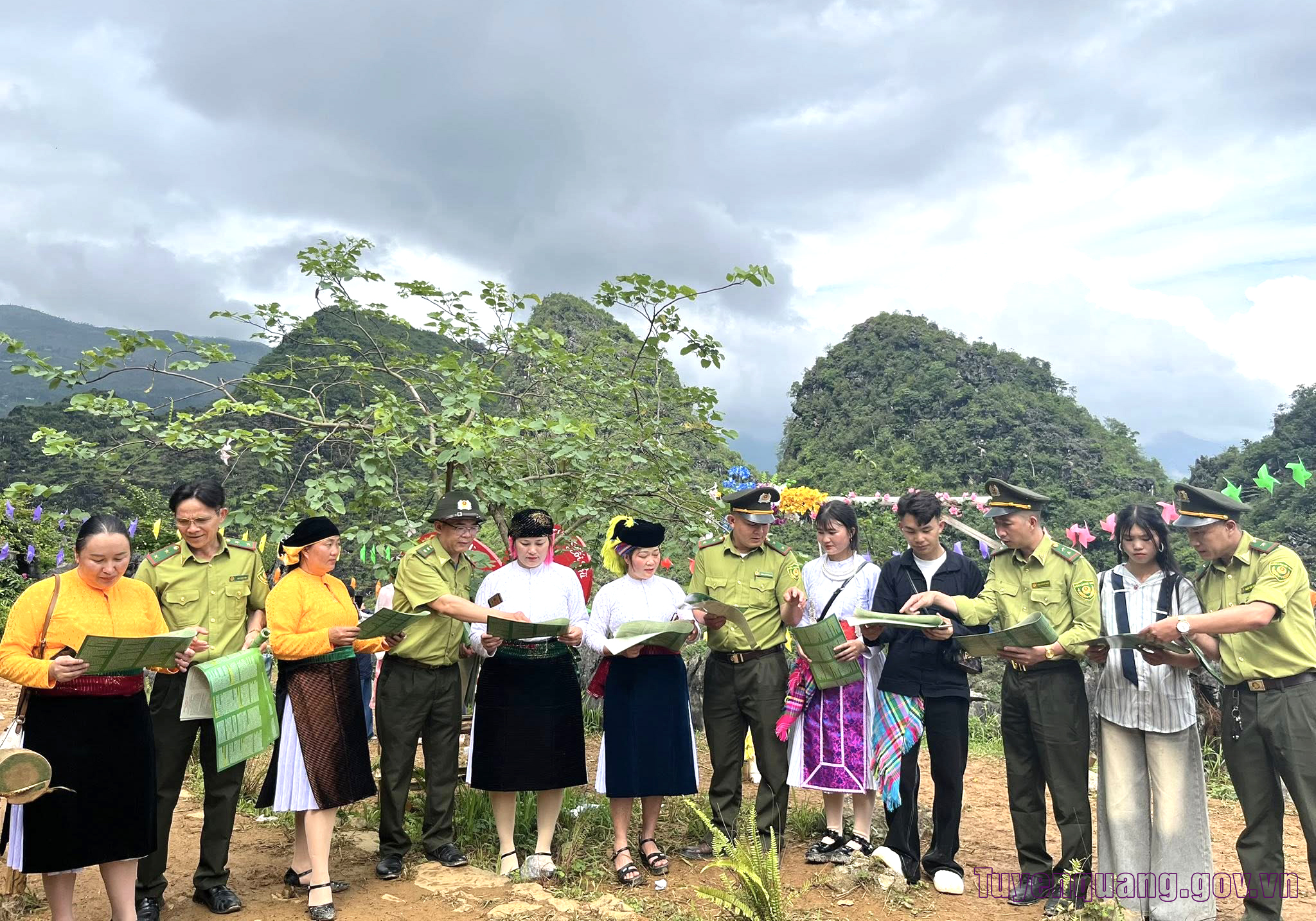 Tuyên Quang: Tăng cường quản lý, bảo vệ và phát triển rừng