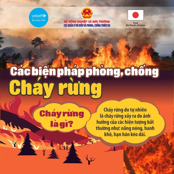 CÁC BIỆN PHÁP PHÒNG CHỐNG CHÁY RỪNG