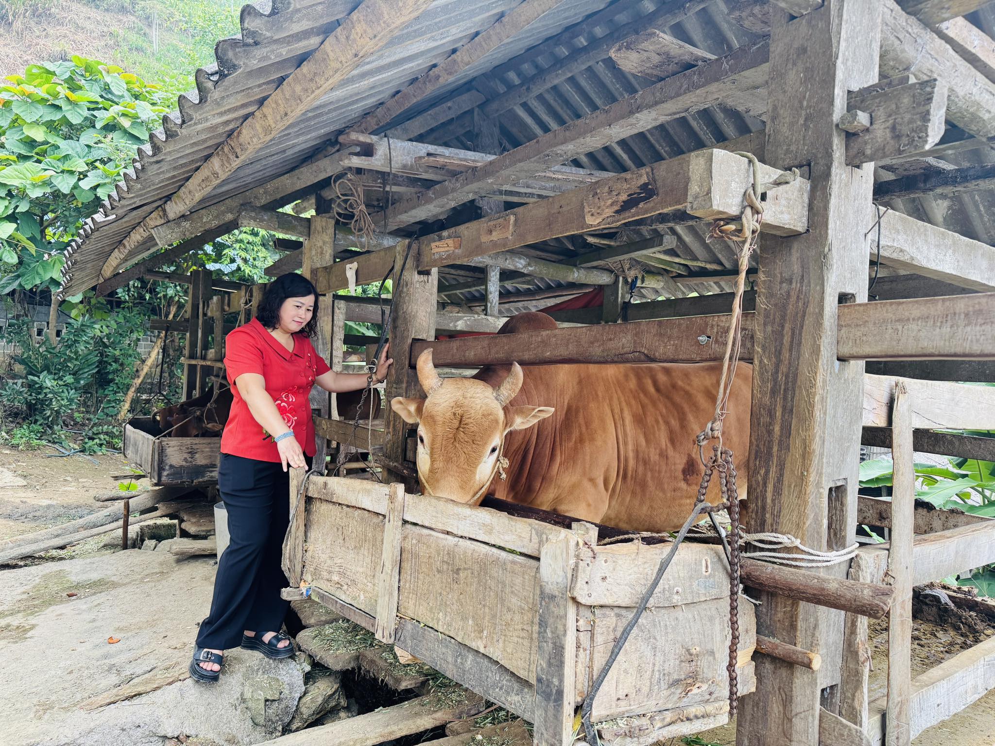 Bí thư Đảng ủy Đặng Thị Phượng kiểm tra tại cơ sở