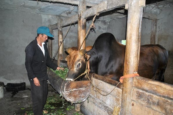 Khó khăn trong xây dựng Nông thôn mới ở Đồng Văn
