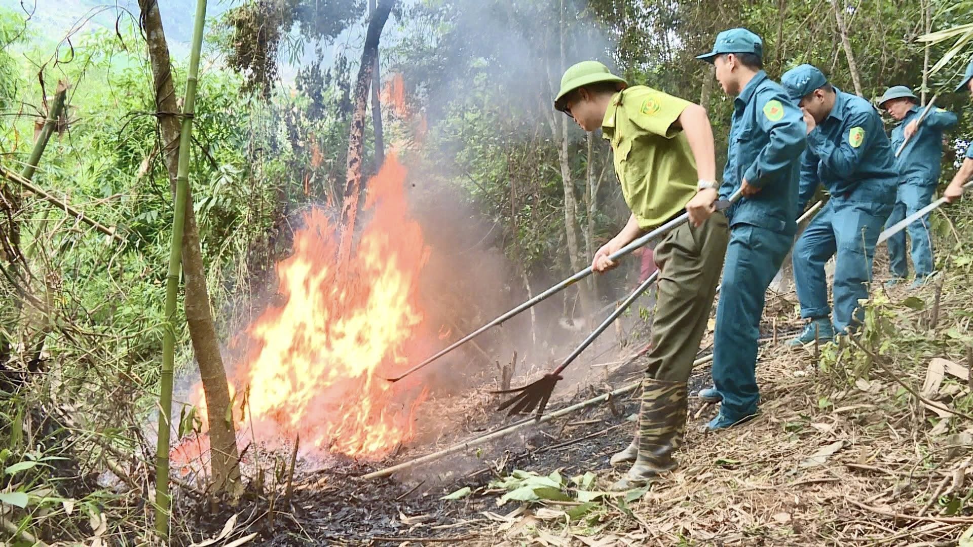 Yên Nguyên tổ chức thành công tốt đẹp diễn tập ứng phó cháy rừng và tìm kiếm cứu nạn năm 2026.