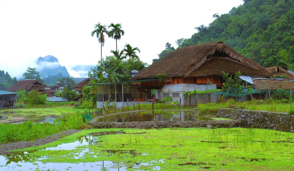 bài 1: Thôn Tha - bình yên dưới những tầng mây