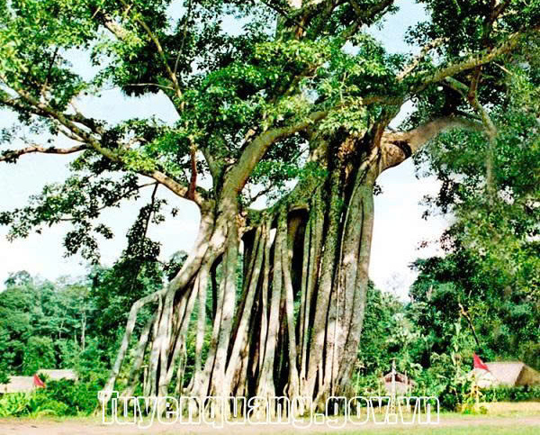 Tổng quan về tỉnh Tuyên Quang mới
