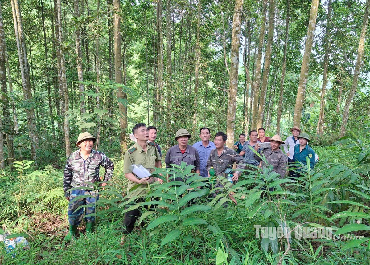 Chủ động phòng, chống cháy rừng mùa nắng nóng