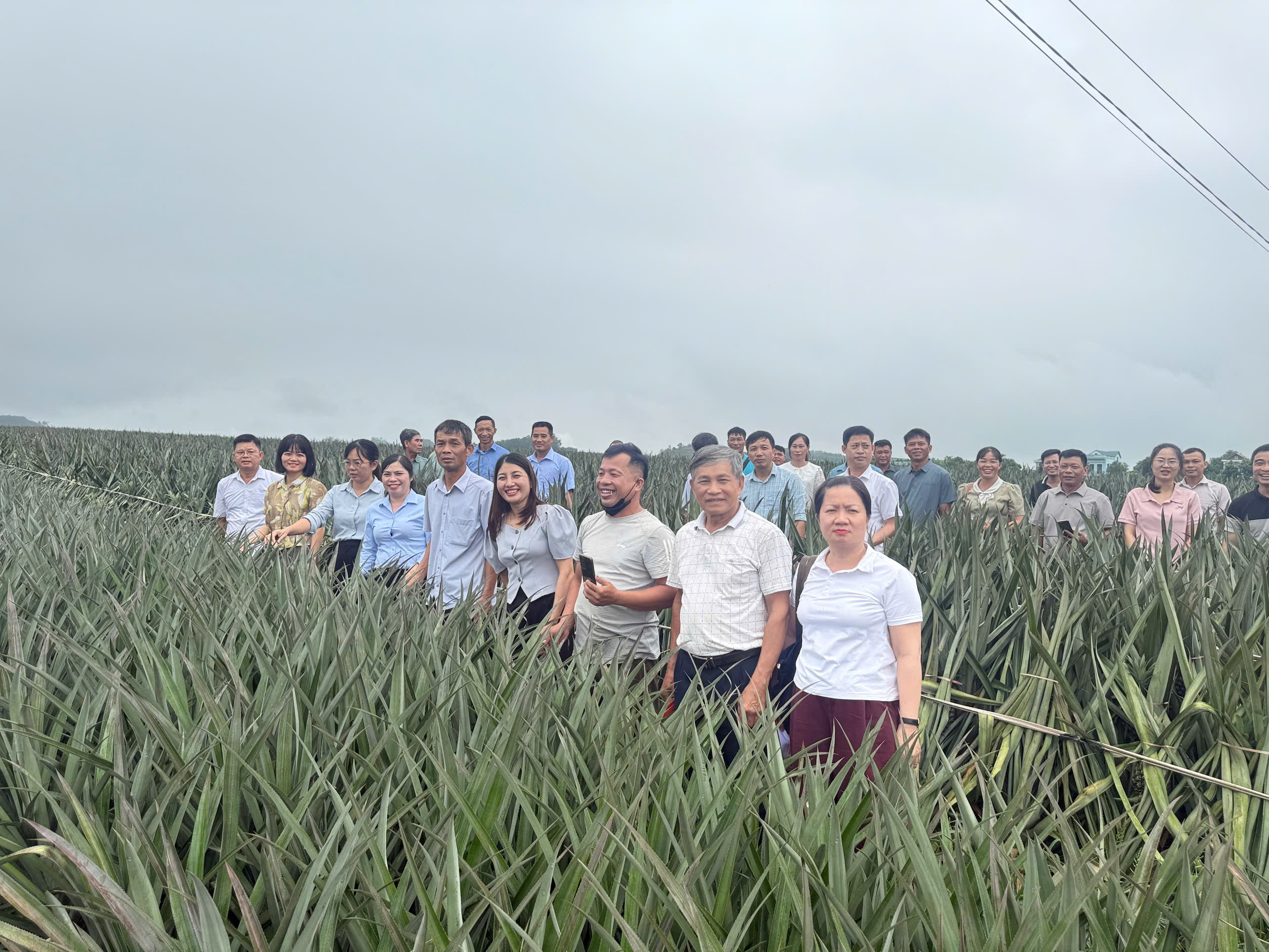 Đoàn công tác xã Thái Sơn học tập, trao đổi kinh nghiệm phát triển kinh tế, giảm nghèo tại phường Trung Sơn, tỉnh Ninh Bình.