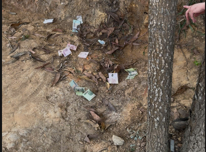 KHỞI TỐ 02 ĐỐI TƯỢNG PHẠM TỘI VỀ MA TUÝ