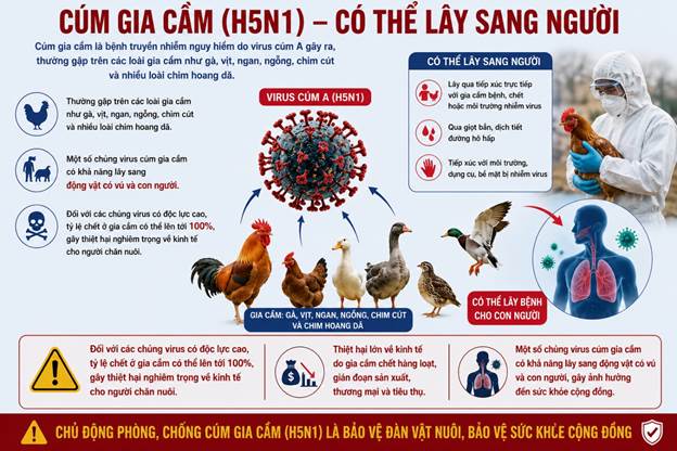 Xã Sơn Thủy tăng cường phòng, chống bệnh Cúm gia cầm A/H5N1 - Xã Sơn Thủy